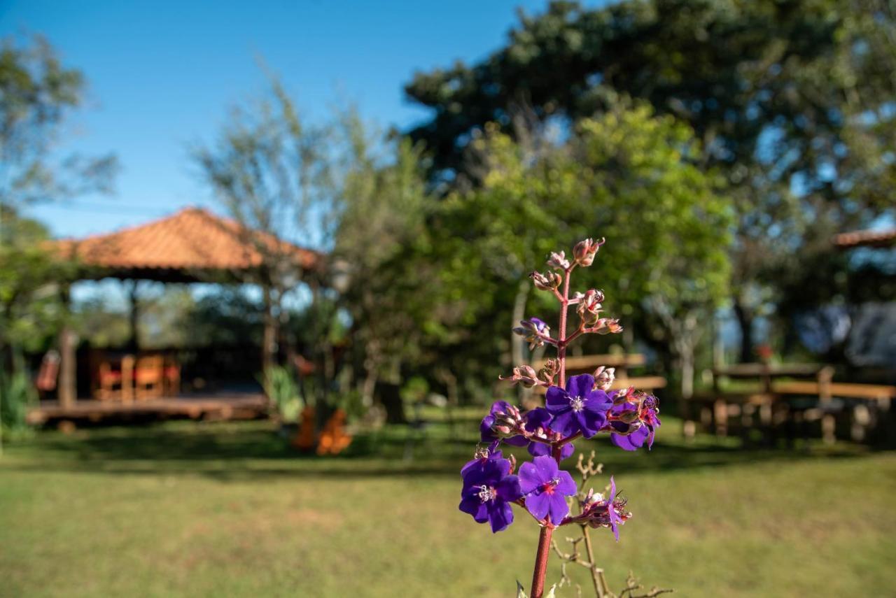 Hospedagem Beija-Flor - Espaco Flor Das Aguas クーニャ エクステリア 写真